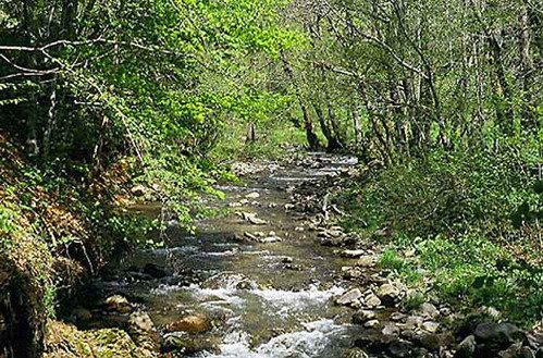 AAPPMA Cère et Goul